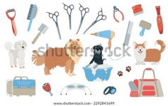 이발소 스타일 심볼로 설정된 개 그루밍 스톡 벡터(로열티 프리) 2292841699 | Shutterstock
