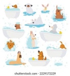 6.1만개의 Pet shower 로열티 프리 이미지 및 스톡 사진 | Shutterstock