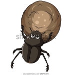 똥덩어리가 있는 쇠똥구리 만화 스톡 벡터(로열티 프리) 2317352051 | Shutterstock