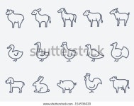 농장 동물 스톡 벡터(로열티 프리) 156936020 | Shutterstock