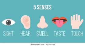 Five senses 스톡 사진 - 5,570개의 이미지 | Shutterstock