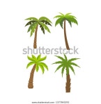 팜트리 플랫 벡터 세트 스톡 벡터(로열티 프리) 1377843293 | Shutterstock