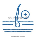 성장 헤어 스케치 아이콘 벡터손으로 그린 스톡 벡터(로열티 프리) 2030113961 | Shutterstock