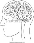 뇌를 가진 손으로 그린 인간 머리 스톡 벡터(로열티 프리) 2533499723 | Shutterstock