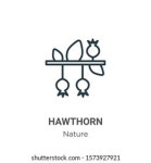 17개의 느티나무로고 로열티 프리 이미지 및 스톡 사진 | Shutterstock