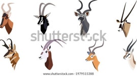 뿔라헤어클럽 | 뿔뿔소 뿔소 스톡 벡터(로열티 프리) 1979515388 | Shutterstock