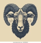 농장 양의 머리, 손으로 그린 그림, 스톡 벡터(로열티 프리) 2419852621 | Shutterstock