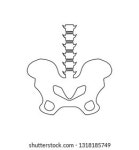 6.5천개의 장골 로열티 프리 이미지 및 스톡 사진 | Shutterstock