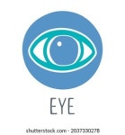 케이탑아이(eye) | Optometry Concept Eye Snellen Chart Vector 스톡 벡터(로열티 프리) 660421060 | Shutterstock