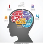 infographic 템플릿 브레인 소셜 라인 링크 스톡 벡터(로열티 프리) 175794047 | Shutterstock