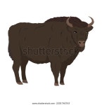 큰 유럽 들소 지혜나 주브 유럽의 스톡 벡터(로열티 프리) 2201760763 | Shutterstock