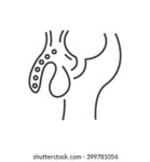 Grand penis 스톡 사진 - 159개의 이미지 | Shutterstock