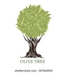 Logo Form Stylized Olive Tree 스톡 벡터(로열티 프리) 347664965 | Shutterstock