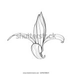 목련 꽃 라인 아트로 그림. 스톡 벡터(로열티 프리) 2698258825 | Shutterstock