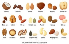 헤이즐넛 아이콘웹용 hazelnut 벡터 아이콘의 플랫 스톡 벡터(로열티 프리) 1067806352 | Shutterstock