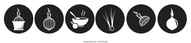 어니언 아이콘 흰색 배경에 검은 설정 스톡 벡터(로열티 프리) 2721747601 | Shutterstock