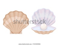 열린 굴로 진주보석류, 패션, 보물 조각 스톡 벡터(로열티 프리) 1722583006 | Shutterstock