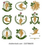 105개의 홍삼즙 로열티 프리 이미지 및 스톡 사진 | Shutterstock