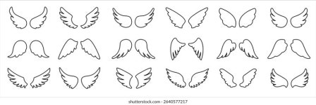 날개 아이콘 세트. 날개 아이콘 새 스톡 벡터(로열티 프리) 2424440037 | Shutterstock