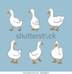 귀여운 하얀 오리 세트 벡터 팜 스톡 벡터(로열티 프리) 2386302813 | Shutterstock