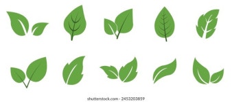 최고의 Eco bio 로열티 프리 이미지 및 스톡 사진 | Shutterstock