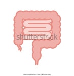 단순하고 귀여운 장 선 그리기 아이콘 스톡 벡터(로열티 프리) 2474399385 | Shutterstock