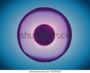 셀피부과학 | 피부 셀 벡터 아이콘 스톡 벡터(로열티 프리) 762544285 | Shutterstock