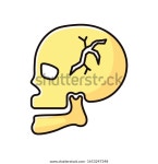 두개골 분리 RGB 색상 아이콘두개골 골절이야머리 스톡 벡터(로열티 프리) 1653247348 | Shutterstock