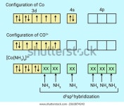 d2sp3 하이브리디화 구조 스톡 벡터(로열티 프리) 2363874243 | Shutterstock
