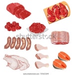 다양한 종류의 고기 제품 벡터 스톡 벡터(로열티 프리) 725613244 | Shutterstock