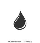 Feather Icon Vector Sign Isolated Graphic 스톡 벡터(로열티 프리) 1538509121 | Shutterstock