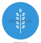 Wheat Icon Isolated On Blue Background 스톡 벡터(로열티 프리) 697217191 | Shutterstock