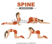 Workout Spine Young Woman Performs Spine 스톡 벡터(로열티 프리) 1438995842 | Shutterstock