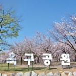 누림터 | 시화호의 현재 | 시화호, 위대한 변화와 미래 | 세계속의 시화호 시흥 시화호30주년, 시흥시 시화호30주년, 시화호30주년... 