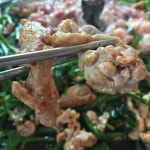 캐스트 - 식신 : 대한민국 No.1 맛집