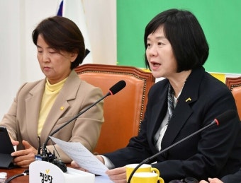 이정미 
