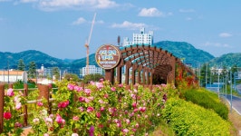성주읍 > 볼거리