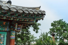 (이전)문화관광 > 바라보기 > 성주관광10선 > 성밖숲