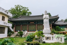 (이전)문화관광 > 바라보기 > 성주관광10선 > 성밖숲