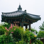 (이전)문화관광 > 바라보기 > 성주관광10선 > 성밖숲