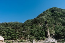 (이전)문화관광 > 바라보기 > 성주관광10선 > 성밖숲