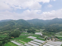 (이전)문화관광 > 바라보기 > 성주관광10선 > 성밖숲
