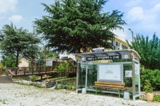 (이전)문화관광 > 바라보기 > 성주관광10선 > 성밖숲