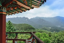 성주문화관광 > 여행하기 > 권역별 관광지 > 서부권 다함께! 힘찬 새성주, 기업지원과