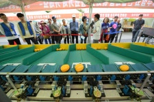 (이전)문화관광 > 바라보기 > 성주관광10선 > 성밖숲