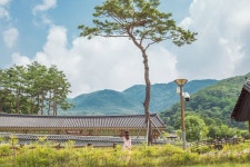 성주문화관광 > 여행하기 > 권역별 관광지 > 북부권 성주문화관광