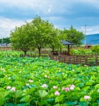 성주문화관광 > 숙박&음식점 > 성주숙박 > 일반