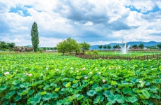 (이전)문화관광 > 바라보기 > 성주자연20선