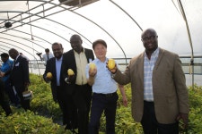 국제청소년연맹관련 아시아_아프리카 장 차관 참외농가 방문 성주군 새소식 보기 > 군정홍보 > 성주소개 > 성주군청 성주군청