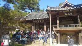 (글보기)자매결연 학교 대구 장기초의 별고을 시간여행 성주군청 > 성주소개 > 군정홍보 > 성주군 새소식 보기 성주문화관광